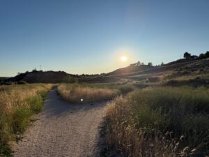 Hiking trail in Boise foothills. Scenic view of path, tall grass, and bright sun. Outdoor adventure in Idaho.