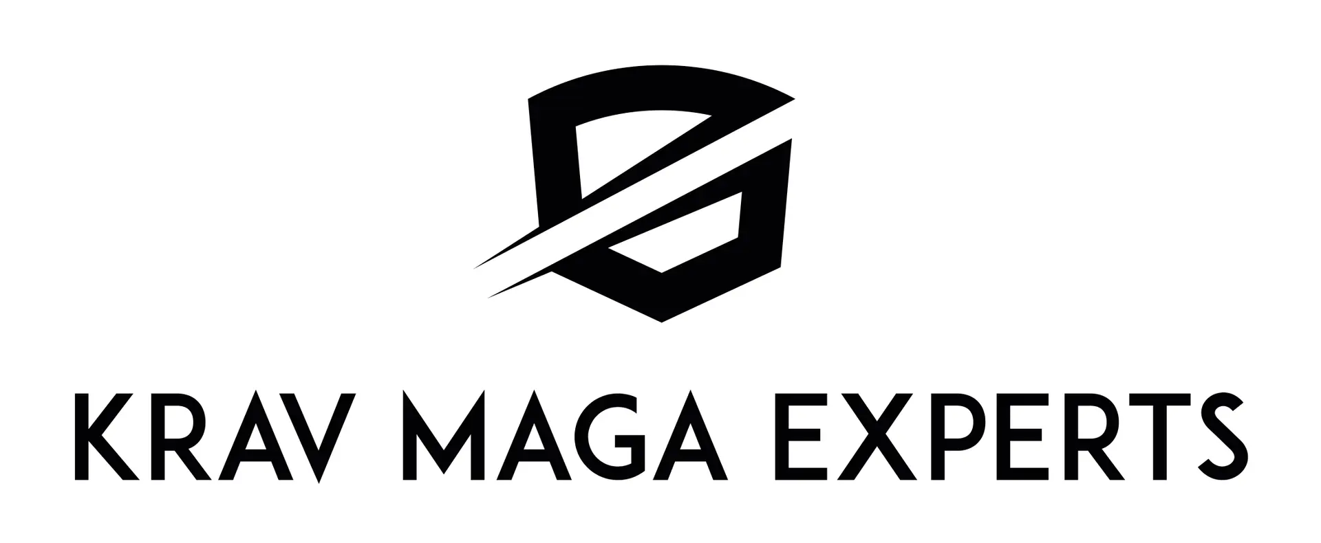 Tactical Training Boise: Krav Maga Experts logo. Shield icon with slash, representing self-defense training.